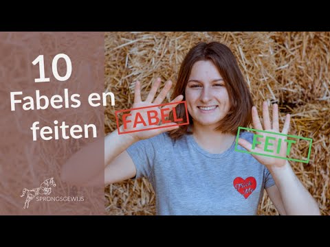 10 feiten en fabels over paarden | Sprongsgewijs