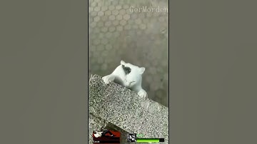 Left 4 Dead 2 - Hanging out with Louis