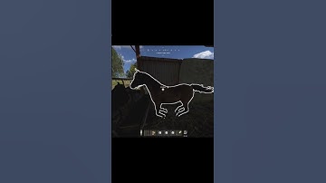 Horse tried to leave the stable #horse #rust #fyp #shorts
