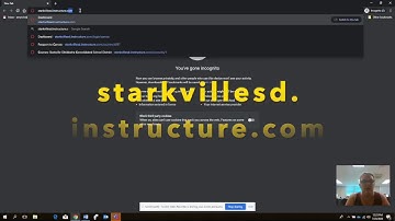 Canvas: Logging in to Canvas