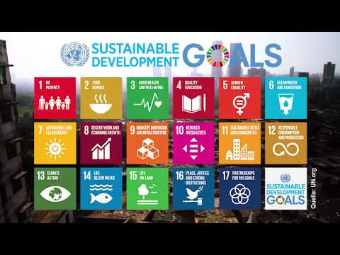 Nachhaltigkeit: die Bedeutung der Sustainable Development Goals