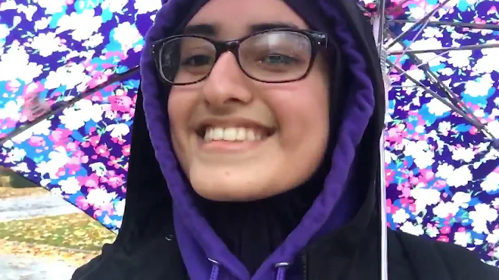 What is the IB Program?