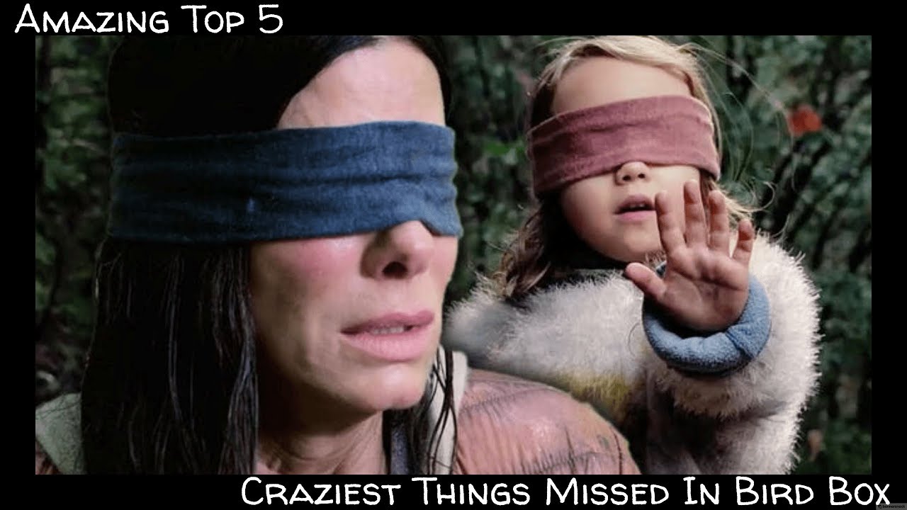 Top 5 Craziest THINGS MISSED In Bird Box!