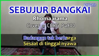 SEBUJUR BANGKAI - Rhoma irama karaoke - cover Pa800