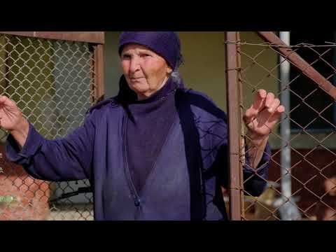 ცხოვრების შანსი _ ფრეზეთი, Project Life Box