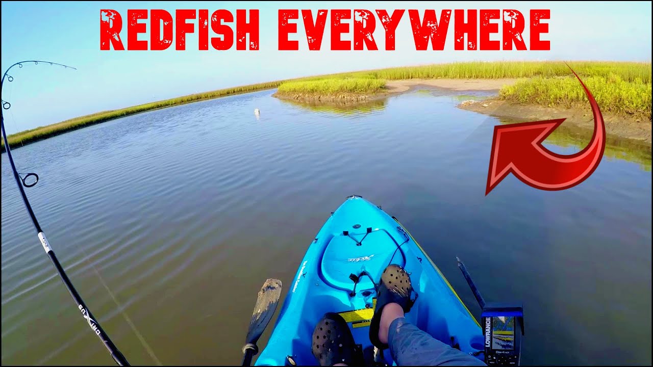 Ultra Low Tide with Redfish Everywhere - Freeport, TX (7-15-20) - YouTube