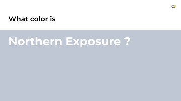 Northern Exposure color #bfc7d4 hex color - Blue color - Warm color bfc7d4