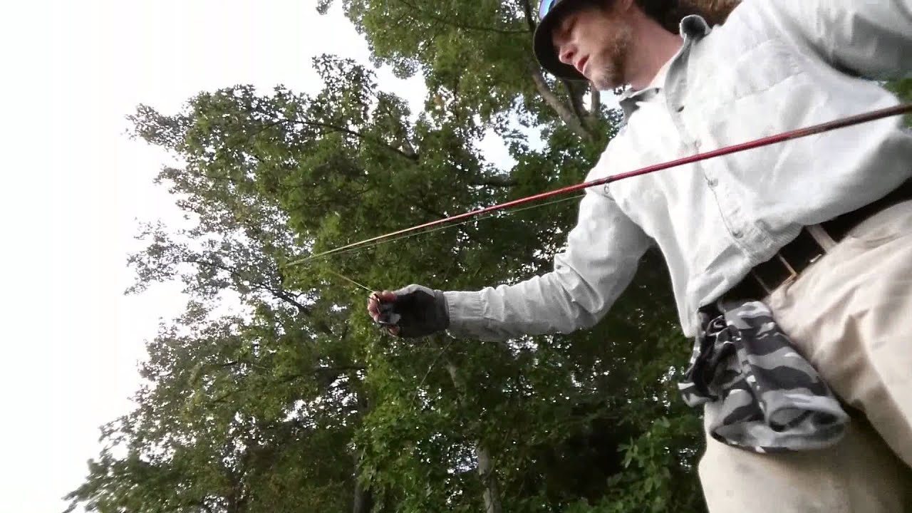 Bass fishing on Fishing creek, South Carolina, late summer. 8/14/15 - YouTube