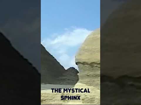 What the Sphinx Sees