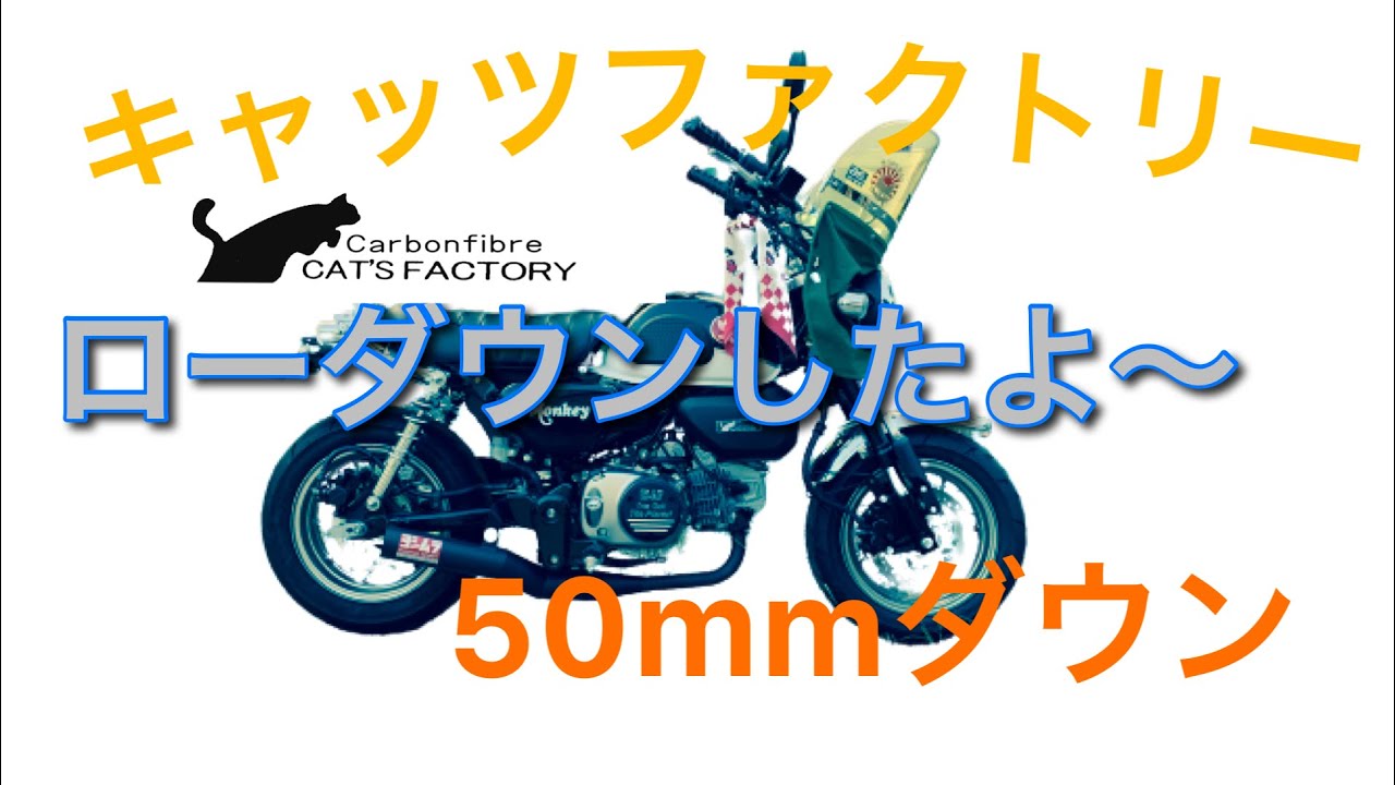 DAX125の5cmローダウンフロントフォークキャッツファクトリーモンキー