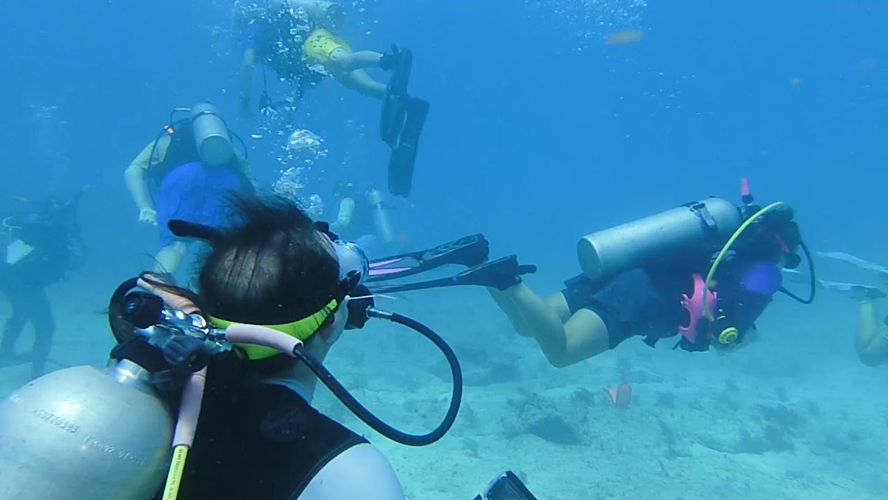 Davis Reef, Islamorada YouTube