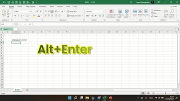 [SOLVED] Alt + Enter to activate next line in single cell Excel Problem