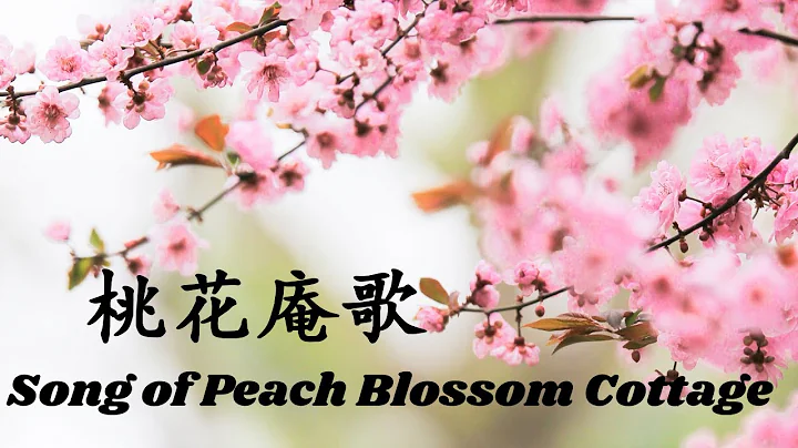 Song of Peach Blossom Cottage 桃花庵歌 - Beautiful Chinese Poem | Tang Yin Poems - DayDayNews