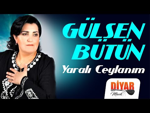 Gülsen bütün -