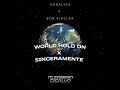 World hold on x Sinceramente (Bob Sinclar e Annalisa)- Ruggiero Disalvo Mashup
