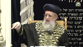 חימום תבשיל בשבת： רוב ומיעוט בדבר לח ｜ מרן הראשון לציון הגאון רבי דוד יוסף שליט＂א אב תשפ"ו