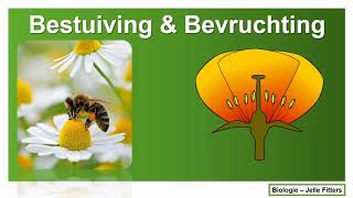 Planten - Bestuiving Bevruchting