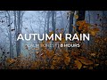 Autumn rain  8 hours of soft rain for relaxation  meditation