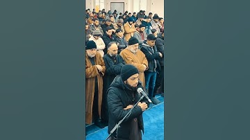 سورة الضحى بصوت الشيخ أبو لؤي التكلة #صلاة_الجمعة #مسجد_الإحسان #أحاديث_وكلم_طيب