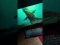 setup #anime #wallpaperengine #pc #laptopwallpaper #gaming #pcsound #wallpaper #pcsettings #gamer