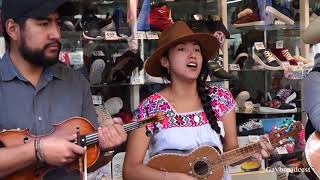 Tocando huapango a un lado del Zócalo de la Ciudad de México (Colectico Malagueña) chords