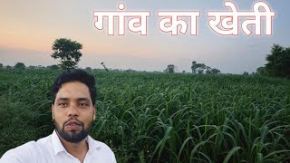 Gaon ka kheti || गांव का खेती 