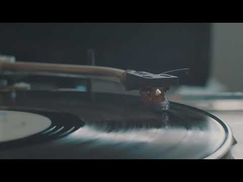 林忆莲 Sandy Lam - 疯了 Crazy 2021 (djleonREMIX)