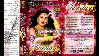 Sona Chandi Kya Karin Gy Pyar Mein _ Sarhad Paar 2006 _ Alka Yagnik _ Udit Narayan _ Eagle Jhankar