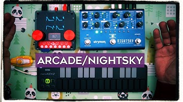 Kasser Synths Arcade and Strymon Nightsky