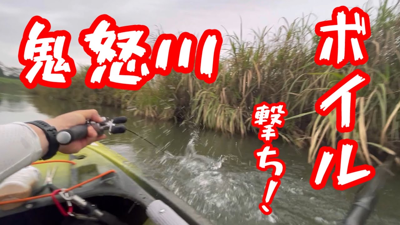 #トップウォーター#fishing #カヤックフィッシング#bassfishing #鬼怒川バス釣り#ラッキークラフト#スピンテールログ
