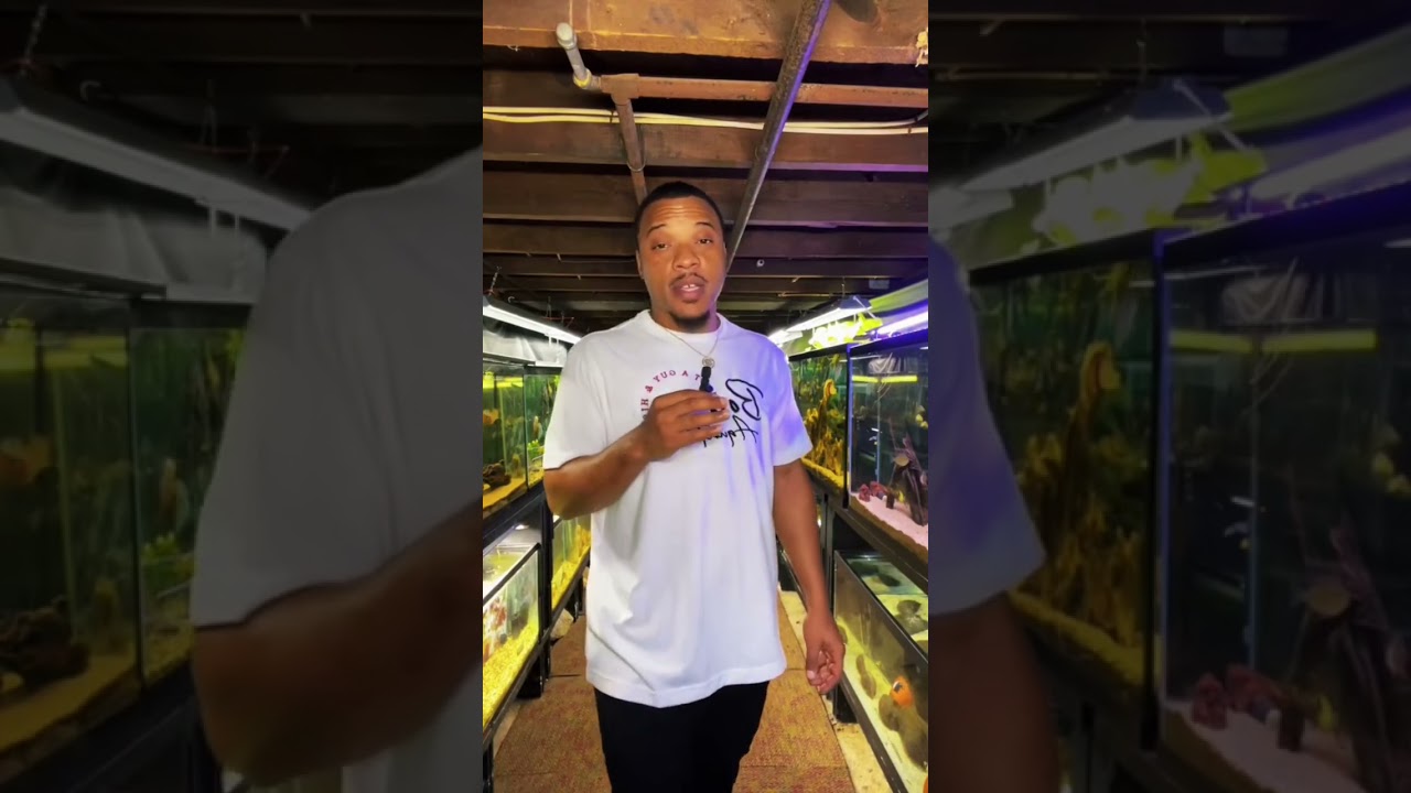 THIS MIGHT BE THE HARDEST FISH TO KEEP! 