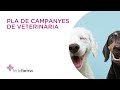 Pla de campanyes de veterinària