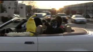 Shenanigans with Gorilla Suits