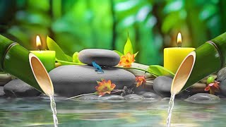 Sleep Music with Water Sounds 🌸 Spa Music, Healing Insomnia, Relaxing Music, Bamboo by Peaceful Moments 9,903 views 10 days ago 3 hours, 40 minutes