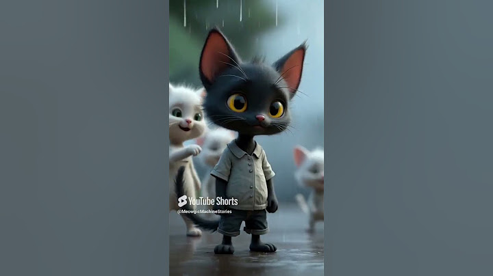 Black Cat Bullied for Its Color – But Watch What This Brave Kitty Does Next!