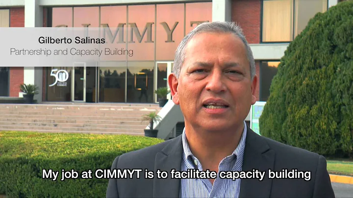 CIMMYT celebrates 50 years of turning research int...