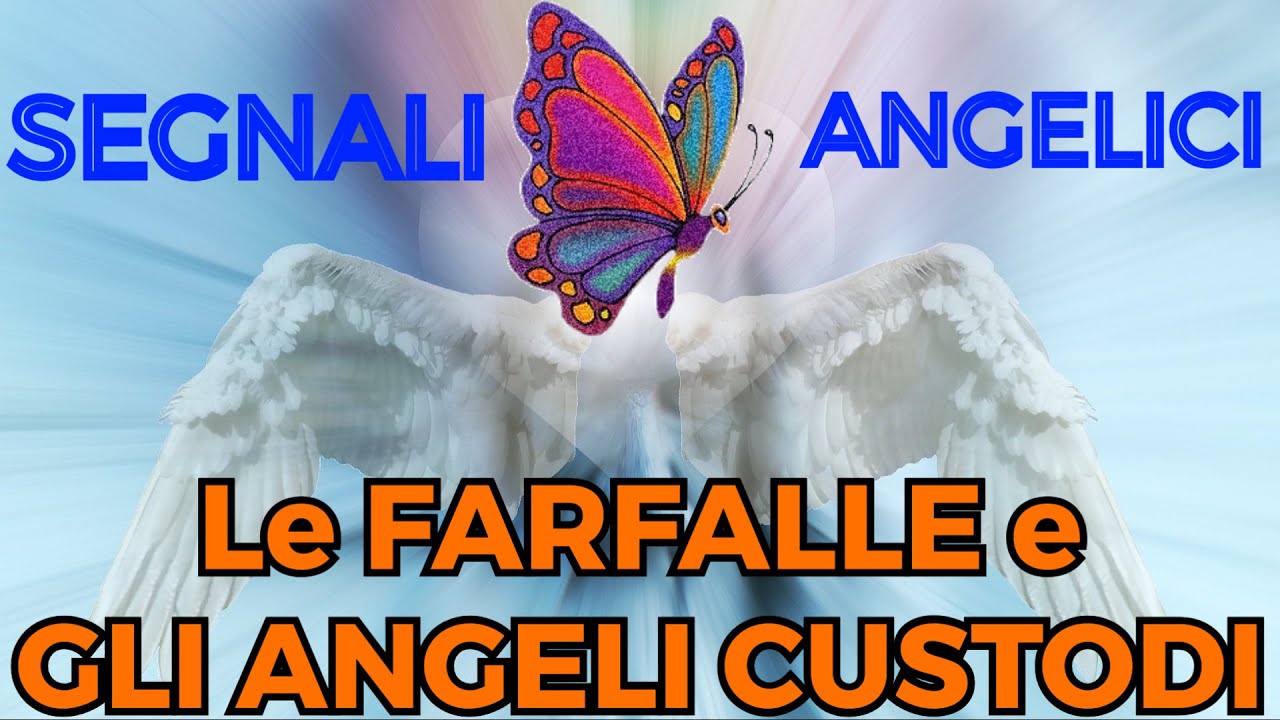 ANGELO CUSTODE: SCOPRI I SEGNALI DEL TUO ANGELO ATTRAVERSO LE FARFALLE