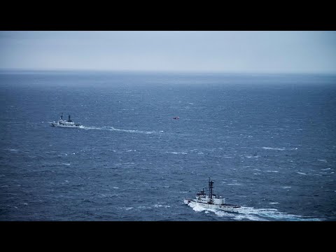 Видео: US Coast Guard выгружает 1 миллион долларов США изъятого кокаина во Флориде