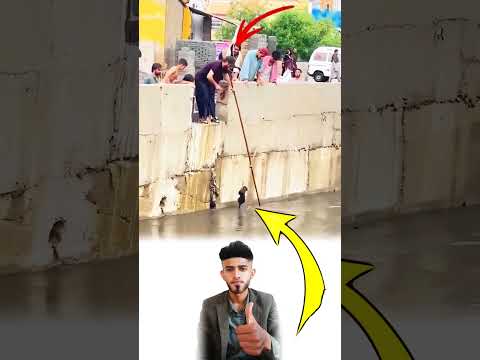 رب موقف رحيم يدخلك رحمة الله كمخلوق أنقذته من الغرق وهو لا يملك إلا نظرات استعطاف  