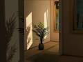 Sims 4 Luxury Bathroom No CC Build Get Famous and Base Game #cozygames