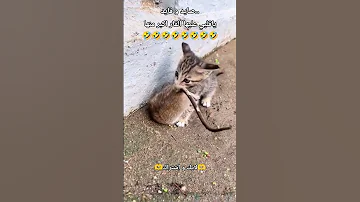 ماقدرت ترفعه ولا تبي احد يساعدها اكسبلور تحشيش ضحك تحشي ترند ليكات تيك توك تختيم دويتو 
