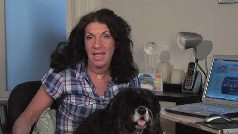 How to Insert a Header on Only the First Page in Google Docs