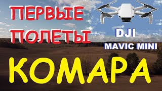 ПОЛЕТЫ КОМАРА 2021.DJI Mavic Mini падение в воду.