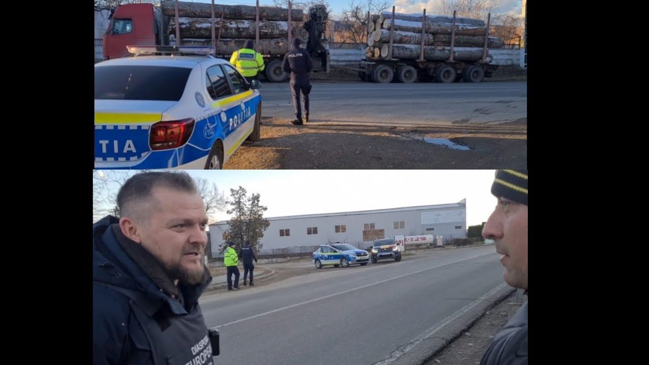 Mafia lemnului mă lovește de față cu poliția ! Diaspora PDU și Cattani în acțiune !