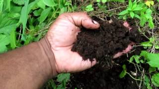 Amazing Garden Soil How to get  great soil  from clay.