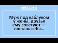 Анекдоты смешные до слез! Подкаблучник-муж решил показать характер... Жизненные анекдоты! Выпуск 26