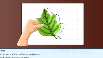 Measuring Area of Irregular Plane Surface, Class 6 Physics  | Digital Teacher