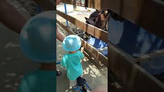 2018090205樹谷農場(2y7m13d)
