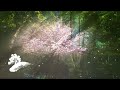 Capture de la vidéo David Arkenstone - Fairy Dreams [Full Album Visualizer]