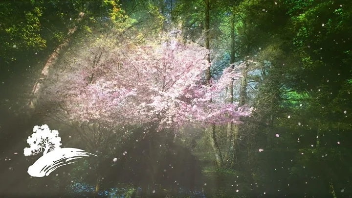 David Arkenstone - Fairy Dreams [FULL Album Visual...